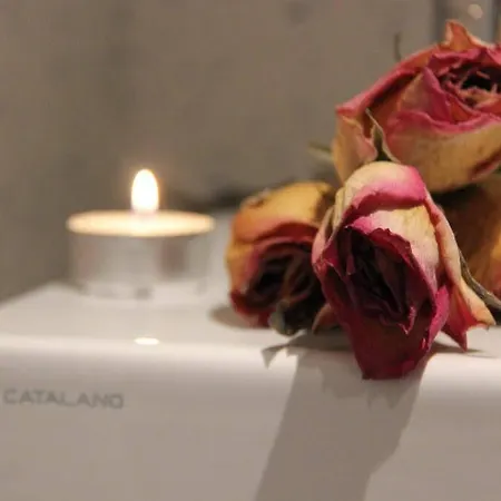 Guest house Marta & Ljubljana