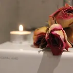 Hiša za goste Marta & Ljubljana